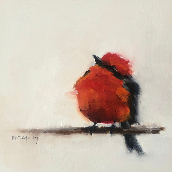 Wings at My Window: Vermillion Flycatcher