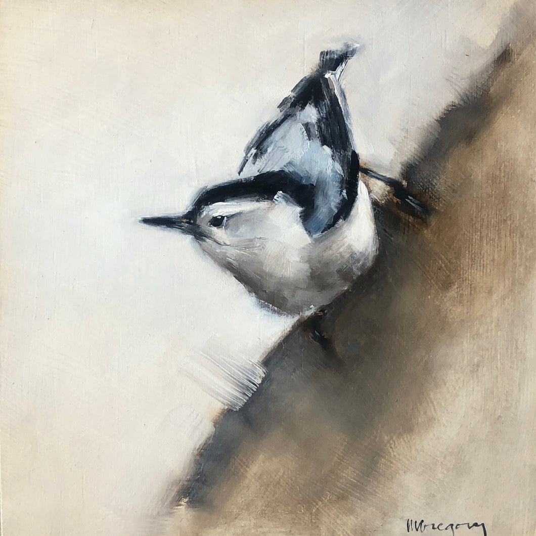 Wings at My Window: Nuthatch