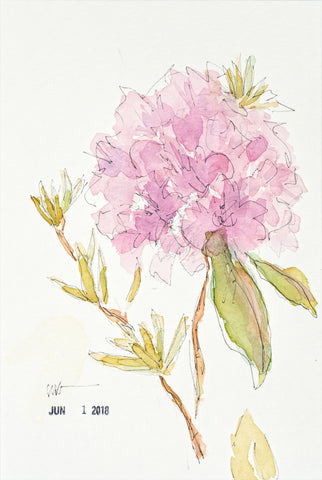 Rhododendron Watercolor