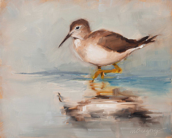 Sandpiper