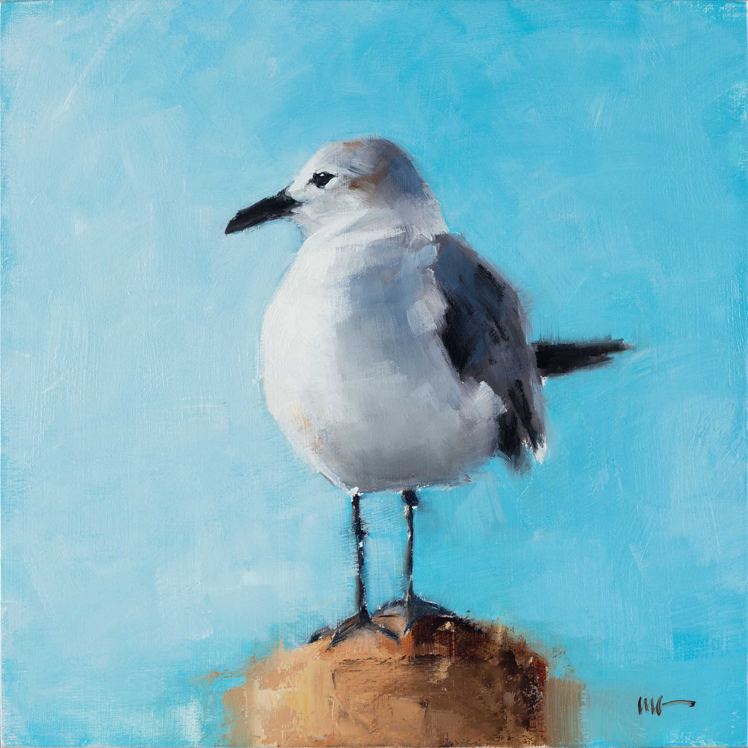 Seagull 1