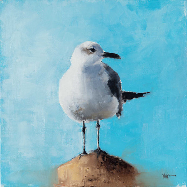 Seagull 2