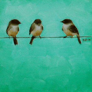 Three Phoebes